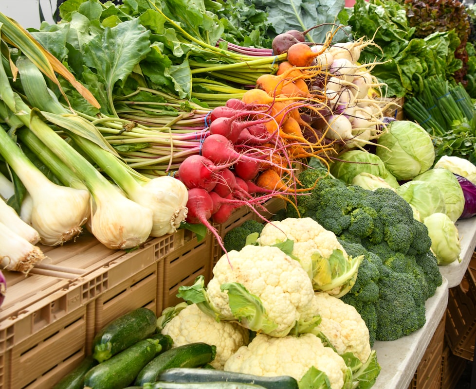 Nutritionist consulting about vitamins and supplements